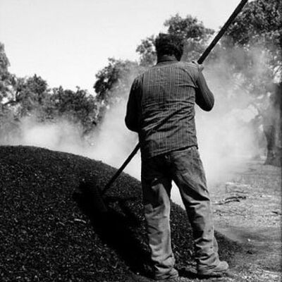 Timeline: Historia del oficio de Piconero