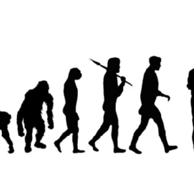 Timeline: Etapas evolutivas del ser humano