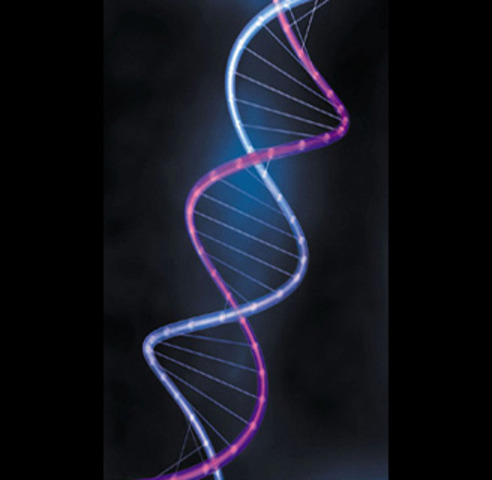 First genome sequenced