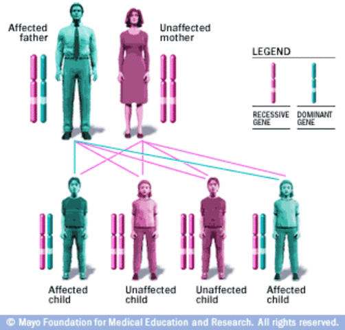 Discovery of Genetic Inheritance Patterns