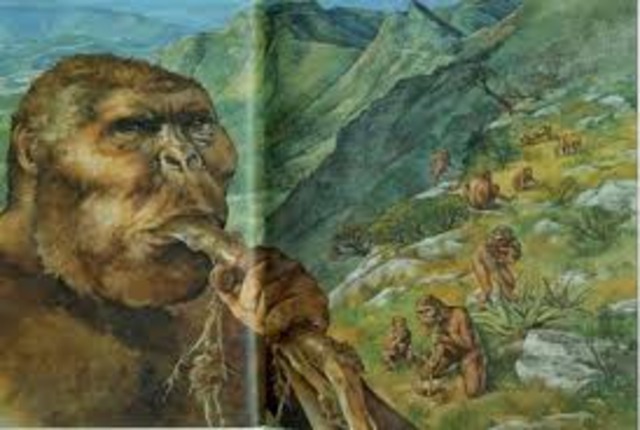 Australopethecines appear, 4 million B.C.