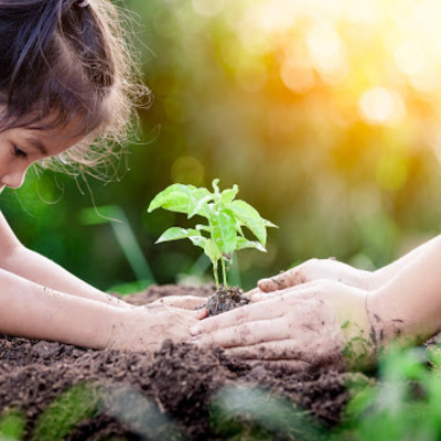 Timeline: Relación del ser humano y la naturaleza a lo largo del tiempo------Zulay Flores 7"A"