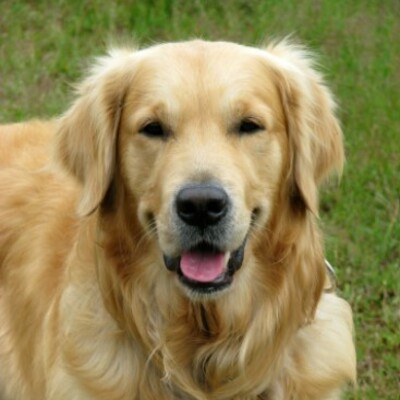 Timeline: WWII time line