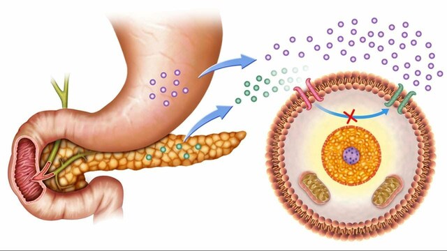 Es secuenciada la primera proteina: LA INSULINA