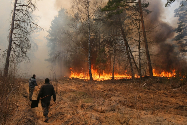 Ukraine Forest Fire
