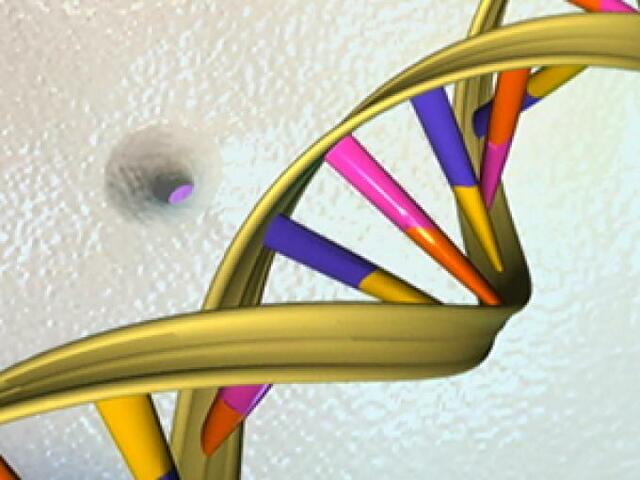 Se termina el Proyecto Piloto de los 100 genomas