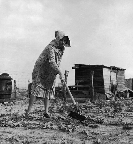 Canadian Farmers: Continuity and Change, 1930