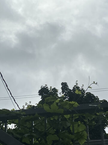 Personal Event - Still at Home