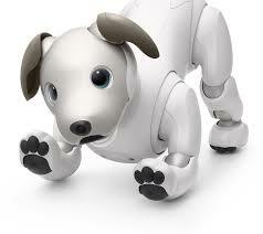 Aibo