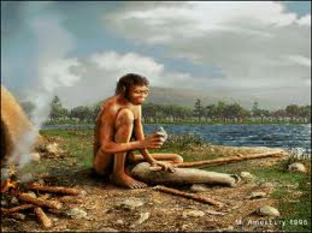 Homo Erectus Appears, 1.6 million B.C.