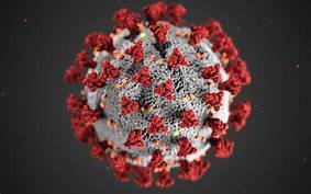 Coronavirus