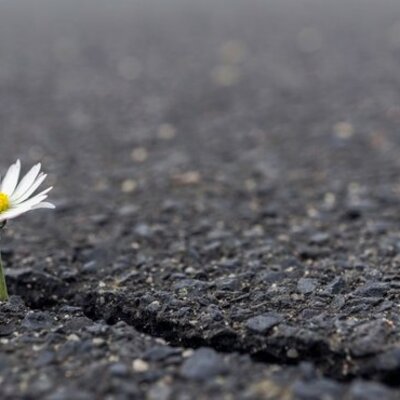 Timeline: GELECEĞE SAĞLAM ADIMLARLA