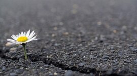 Timeline: GELECEĞE SAĞLAM ADIMLARLA