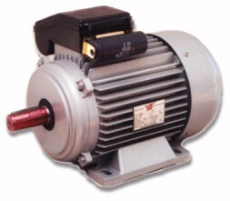 El primer motor de corriente de jaula de ardilla de tres fases infinitamente variable de producción masiva