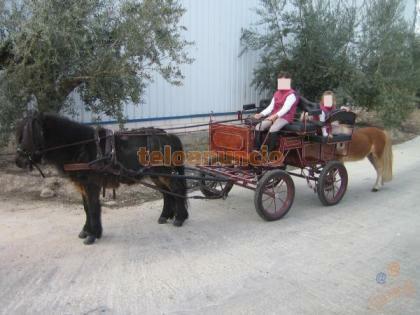 EL CARRO (Edad Antigua) 2000 a.C