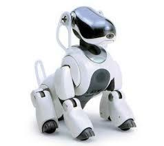 Aibo