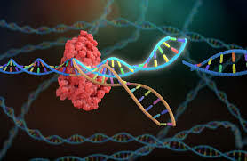 CRISPR (Actualidad) 2000