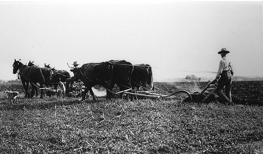Farmers in The Great Depression