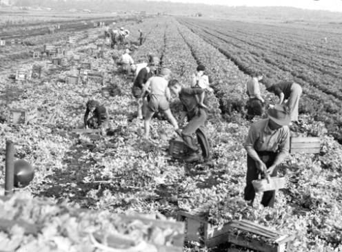 WWII Increase in Production