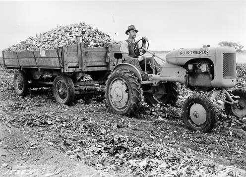 Increased Farming Picture