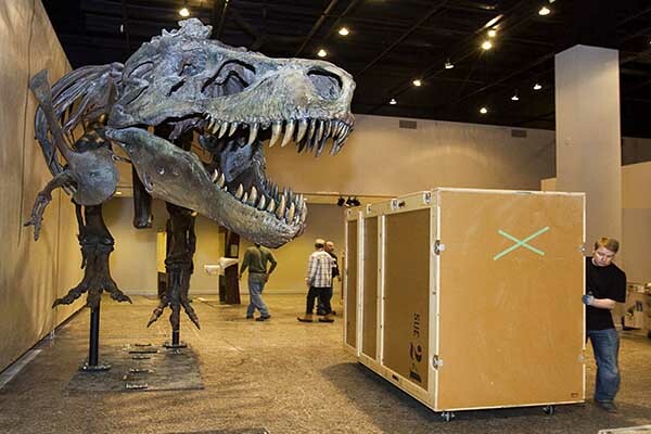 February (New Dinosaur Found in Canada)