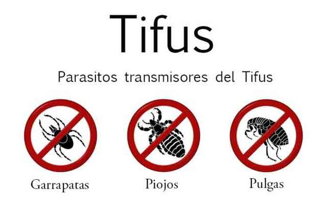 TIFUS