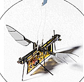 Robotfly