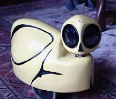 La tortue cybernétique de Grey Wallter