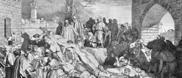 Primeras medidas contra la expansión de la plaga en Mallorca