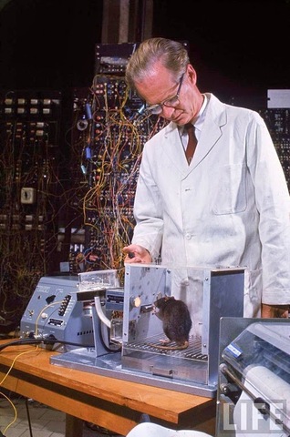 B.F. Skinner - la caja de Skinner