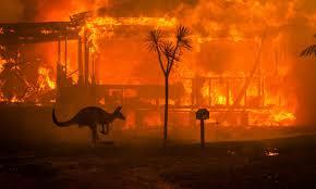 Incendios Forestales en Australia