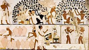 Primera aparición de inspectores