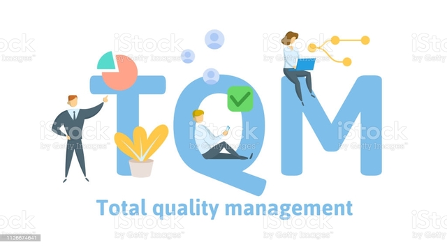 Concepción de Calidad Total