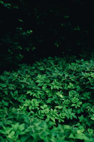 Adam & Eve in the Garden of Eden: Opinions Vary From 300,000 Years Ago To 3900 BC: Genesis 2:4-25