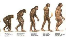 Timeline: Evolución humana