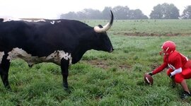 Timeline: Educational Career