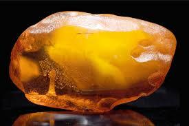 Pradedamas apdoroti gintaras (Lietuvos priešistorė)