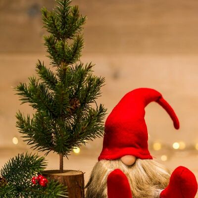 Timeline: Timetoast de Nadal