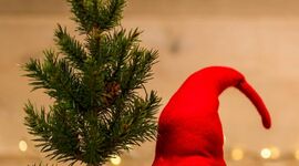 Timeline: Timetoast de Nadal