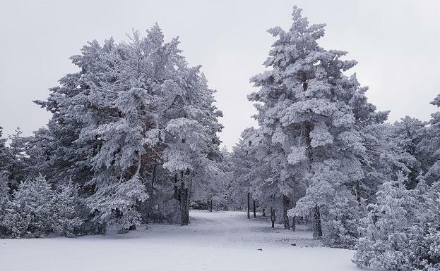 L’últim día de les vacances d’estiu