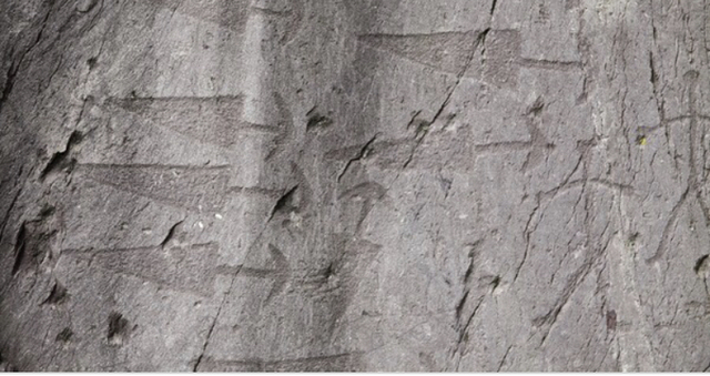 incisione della Valcamonica