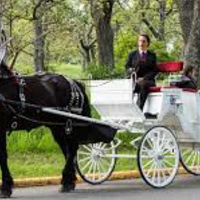 Timeline: Horse and buggy