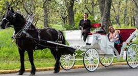 Timeline: Horse and buggy