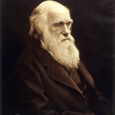 Timeline: Charles Darwin (February 12, 1809 - April 19, 1882)