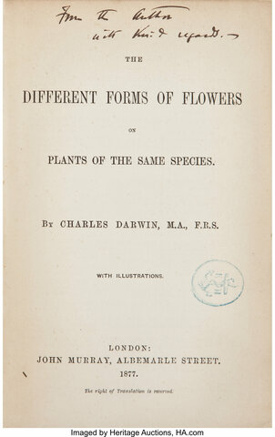 The Different Forms of Flowers on Plants of the Same Species
