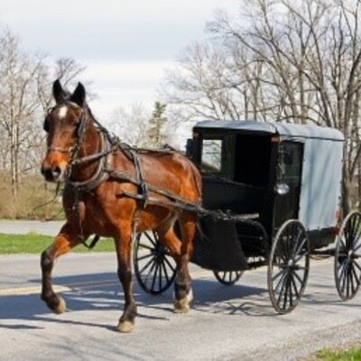 Timeline: horse and buggy timeline