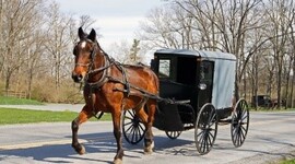 Timeline: horse and buggy timeline
