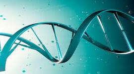 Timeline: De la fecundación al parto