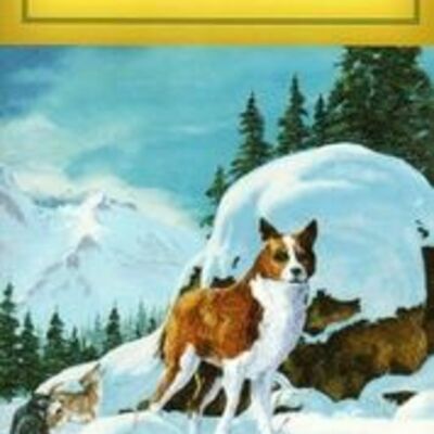 Timeline: 8A/Clarence ~ Independent Reading #1 "The Call of the Wild" by Jack London