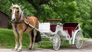 Remington carriage museum